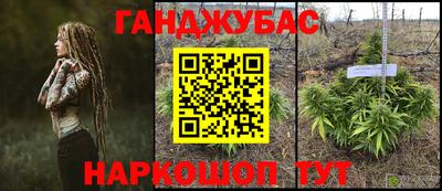 ПСИЛОЦИБИНОВЫЕ ГРИБЫ Нальчик