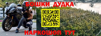 ПСИЛОЦИБИНОВЫЕ ГРИБЫ Нальчик